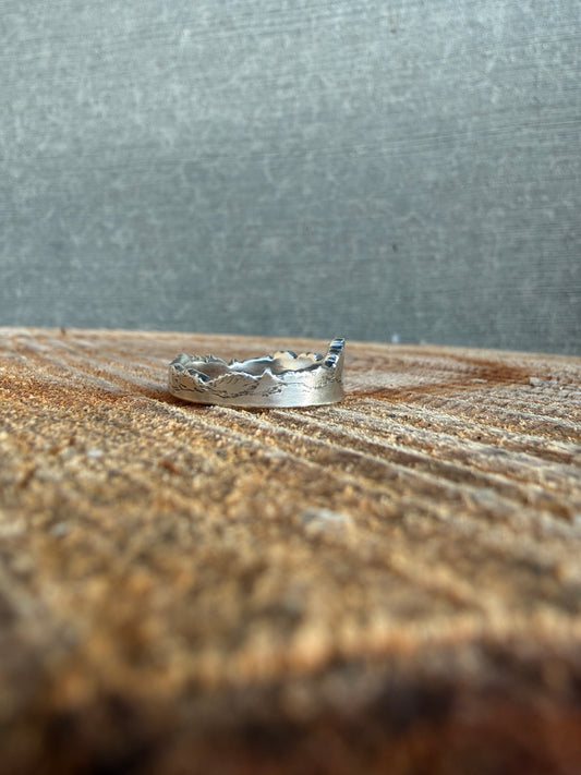 Brothers ring for Sharon