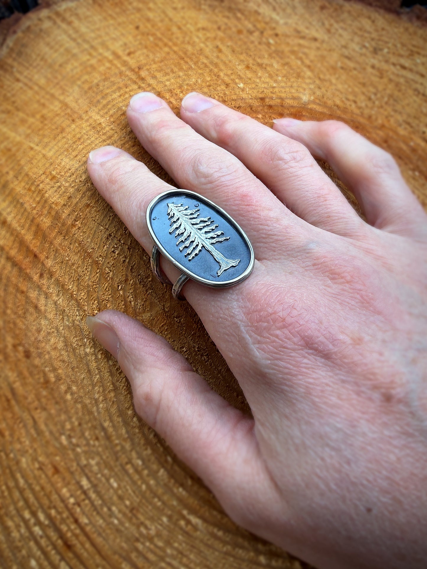 Redwood Tree Ring | Size 8.5