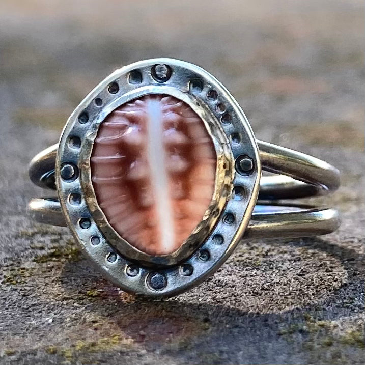 Cowrie Shell Ring in Sterling Silver, size 6