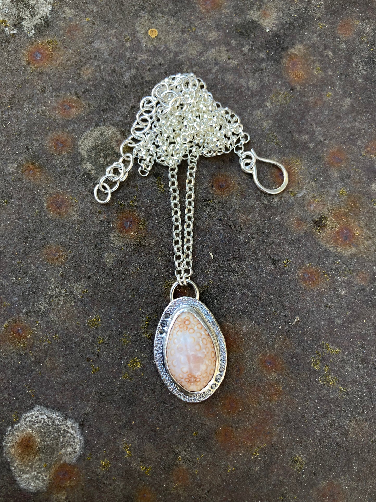 Cowrie Shell Necklace in Sterling Silver