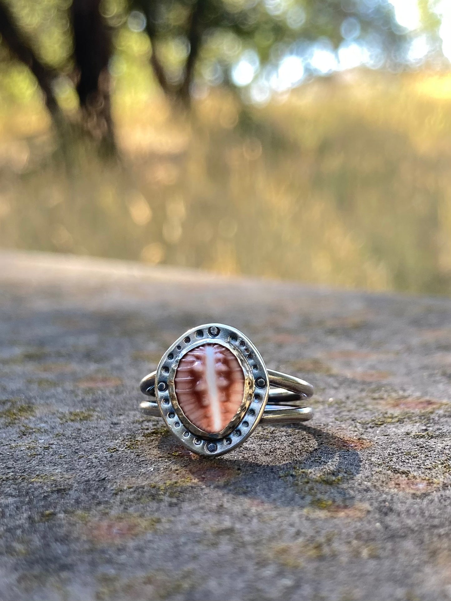 Cowrie Shell Ring in Sterling Silver, size 6