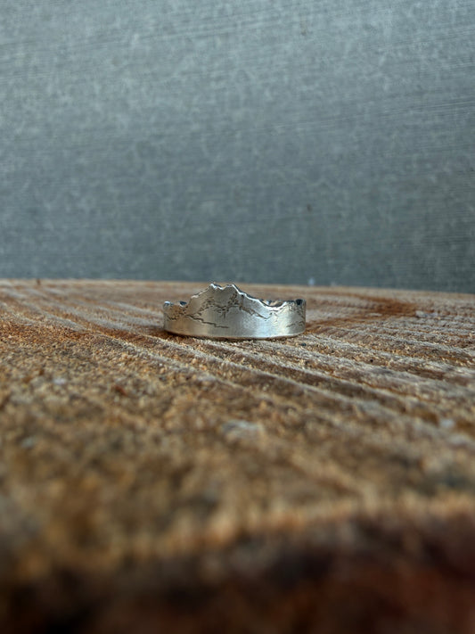 Brothers ring for Sharon