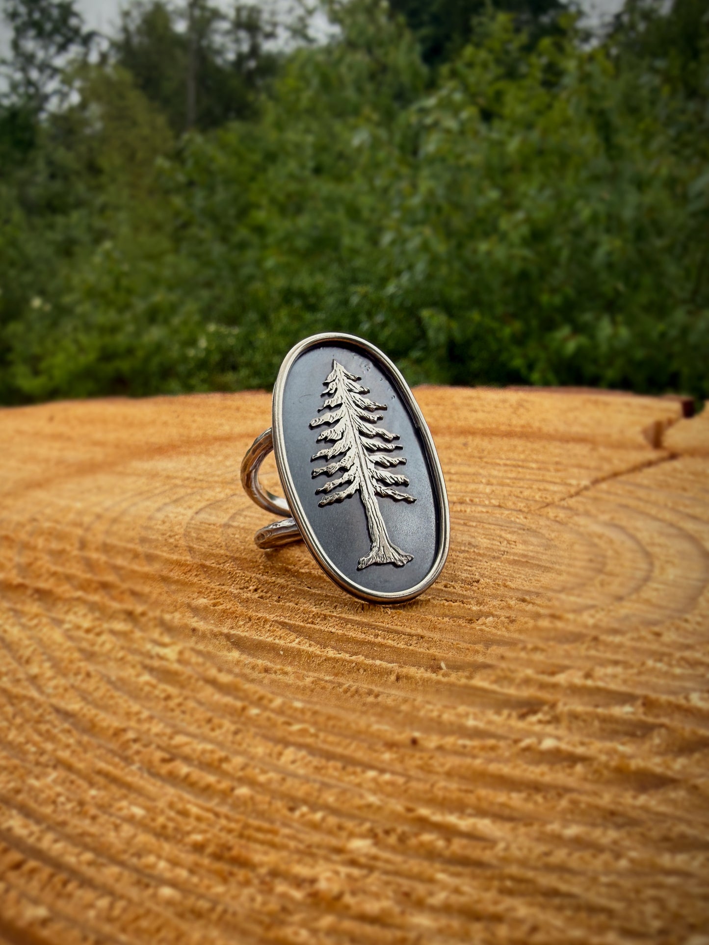 Redwood Tree Ring | Size 8.5