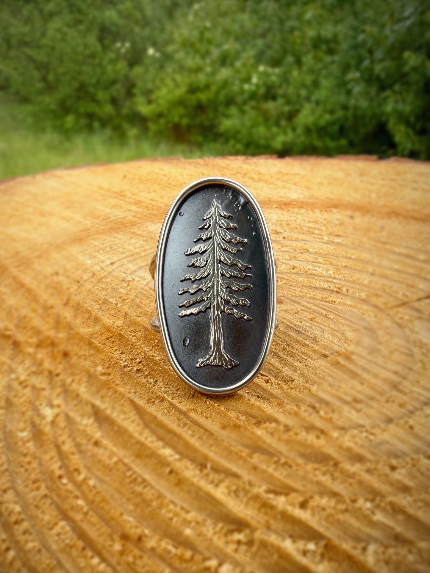 Redwood Tree Ring | Size 8.5