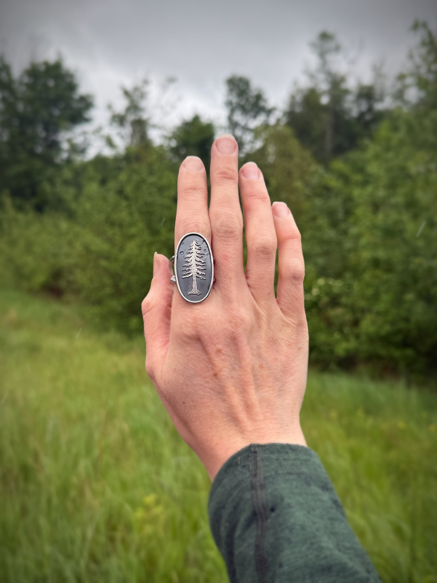 Redwood Tree Ring | Size 8.5