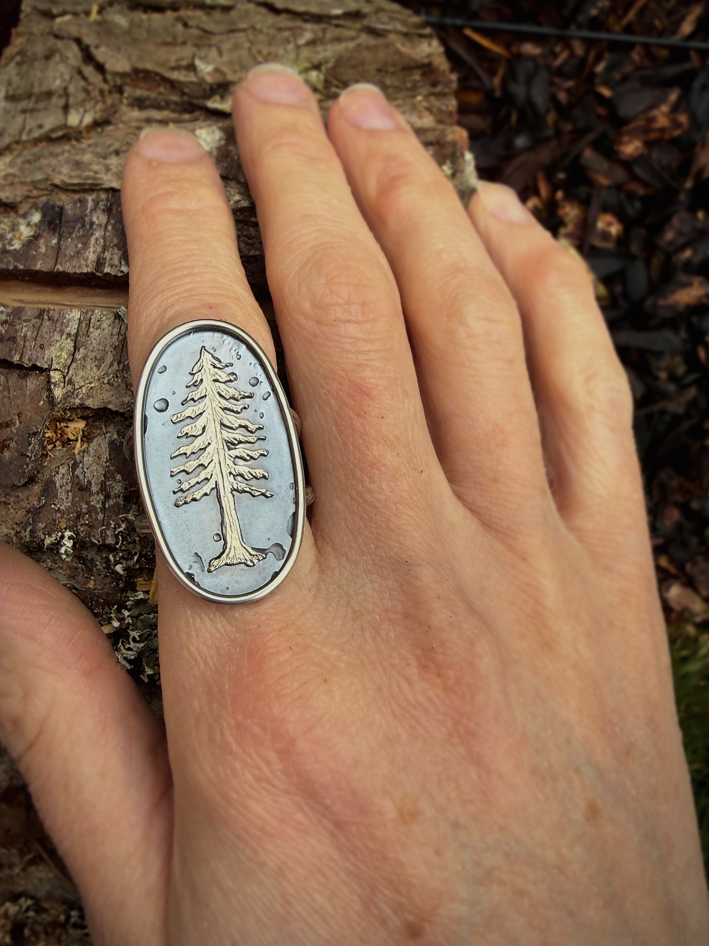 Redwood Tree Ring | Size 8.5