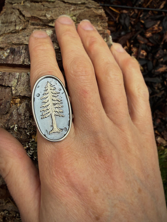 Redwood Tree Ring | Size 8.5