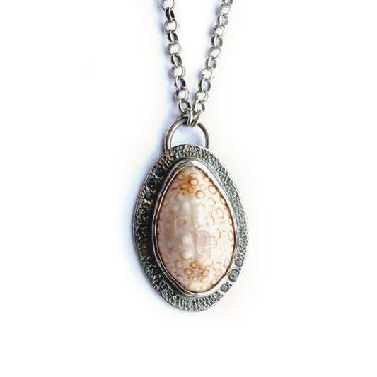 Cowrie Shell Necklace in Sterling Silver