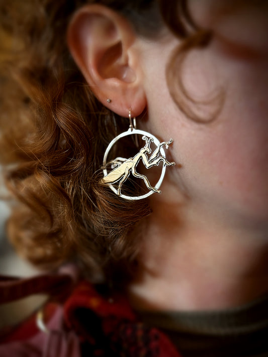 Praying Mantis Earrings in Brass and Sterling Silver