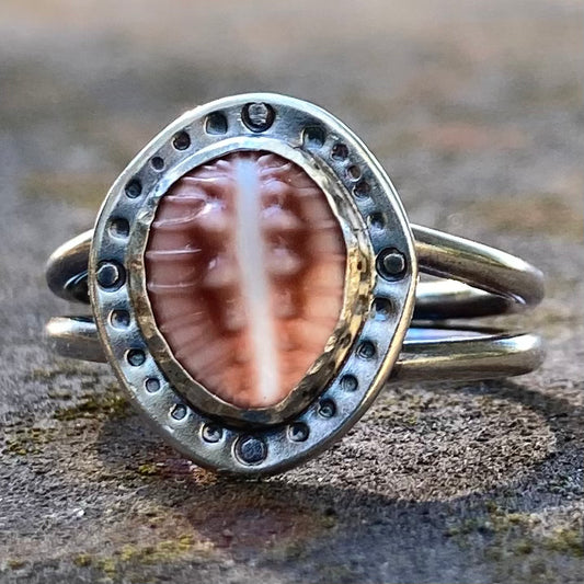 Cowrie Shell Ring in Sterling Silver, size 6